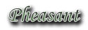 Pheasant hunting information